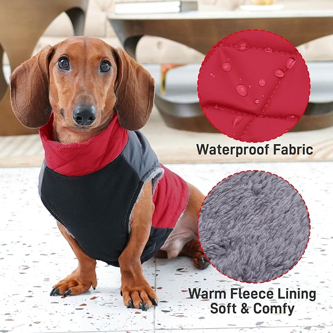 Warm Fleece Dog Coats for Small Dogs,D-Rings Waterproof Puppy Jacket for Cold Winter,Red S