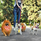 Hosuly 50 Pcs Paw Bone Print Dog Bandana Collar Set Value Package Includes Dog Bow Tie Necktie Collar Pet Scarf Bow Flowers Hexagonal Bowtie Cat Grooming Accessories for Pet Festival Photography
