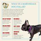 Country Brook Petz - Martingale Dog Collar - Heavy-Duty Training Collar with No Buckle - Service Dog Collar for All Pups - 10+ Cool Colors (Purple, 1 Inch, Large)