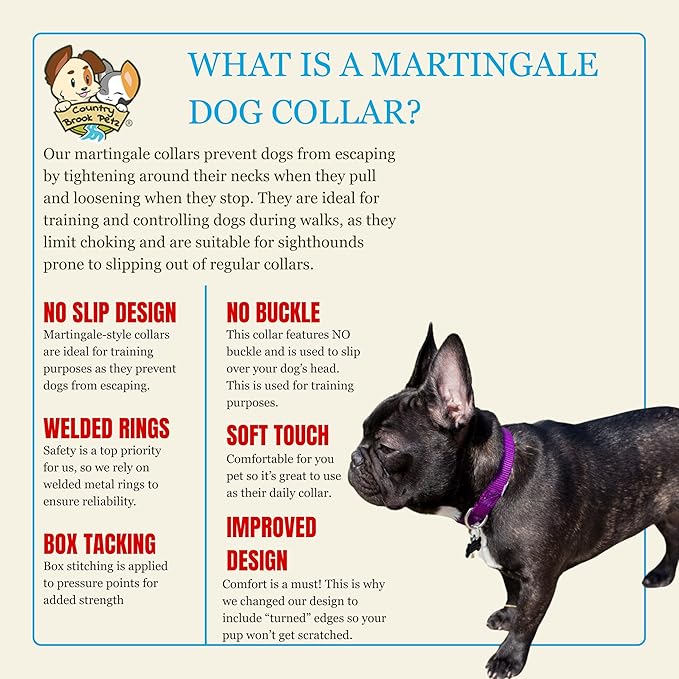Country Brook Petz - Martingale Dog Collar - Heavy-Duty Training Collar with No Buckle - Service Dog Collar for All Pups - 10+ Cool Colors (Purple, 1 Inch, Extra Large)