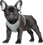 BARKBAY No Pull Dog Harness Large Reflective Dog Harness with Front Clip and Easy Control Handle for Walking Training Running with ID tag Pocket(Grey,S)