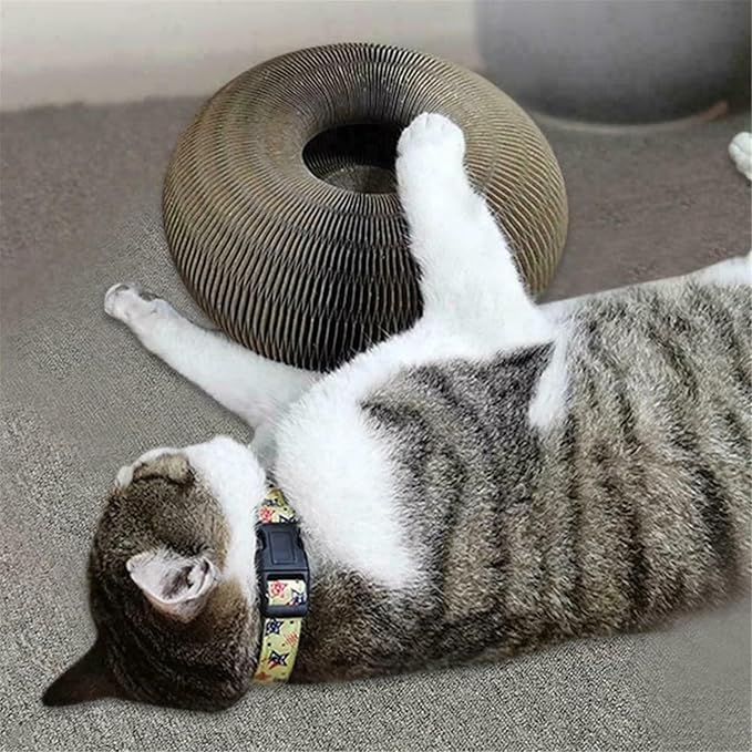 Cat Toy, Magic Organ Cat Scratcher, The Original, Cat Scratchers for Indoor Cats, Cat Toy Round Accordion (1pcs)