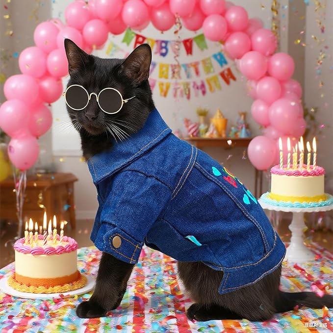 Dog Jean Jacket with D-Ring Blue Denim Coat Dogs Outfits for Small Dogs Cats Boy Male Girl Birthday Clothes Costume Letter Embroidery Dogggie Puppy Winter Warm Clothes(Birthday Baby,XS)