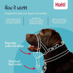 Halti Headcollar - Stop Your Dog Pulling on the Leash. Adjustable, Reflective and Lightweight, with Padded Nose Band. Dog Training Anti-Pull Collar for Medium Dogs (Size 3, Red)