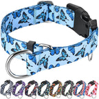 Martingale Dog Collar with Buckle Adjustable Nylon Cute Girl No Pull Anti Escape Training Dog Collars (Blue Butterfly, Medium)
