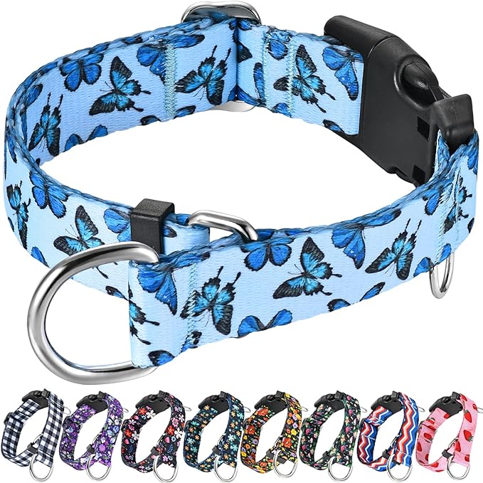 Martingale Collar for Dogs with Buckle Nylon Slip No Pull Training Dog Collars (Blue Butterfly, XSmall)