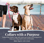 Lucky Love Dog Martingale Dog Collar - Adjustable, No-Slip, Durable, & Soft Webbing Collar for Male and Female Dogs Ideal for Training & Walking - Molly, Medium