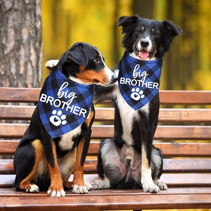 Big Brother Dog Bandana, Plaid Pregnancy Announcement Dog Bandanas for Dogs (Blue, Big Brother)