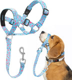HIGO Dog Head Collar, Adjustable Head Collar for Dogs, No Pulling Head Halter, Training Nose Leash, 3 Pattern Muzzle Leash for Small Medium Large Dogs Easy Walking (Blue, S)