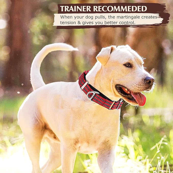 Martingale Collar for Dogs - Reflective Nylon with Padded Comfort & Quick Release Buckle - No Slip Choke Heavy Duty Collar for Safe Training, Walking & Nighttime Use Red S