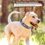 Martingale Collar for Dogs - Reflective Nylon with Padded Comfort & Quick Release Buckle - Skull Design, No Slip Choke Heavy Duty Collar for Safe Training, Walking & Nighttime Use L