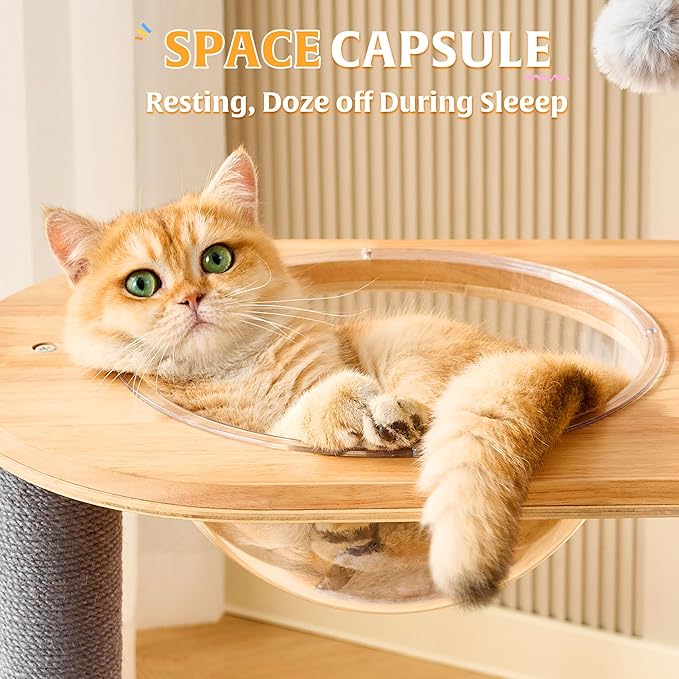 HITTITE Solid Wood Cat Tree Tower with Scratching Post, 53 Inches Tall Cat Towers with Scratching Board and Scratcher Ball, Modern Cat Tower with Space Capsule and Removable Top Bed for Indoor Cats