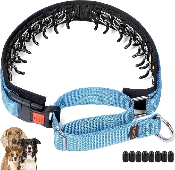 Mayerzon No Pull Dog Collar, Patented Martingale Collar for Small Medium Large Dogs with Buckle and Heavy Duty Nylon for Walking Training Hunting, Safe and Easy to Use(L, Blue)