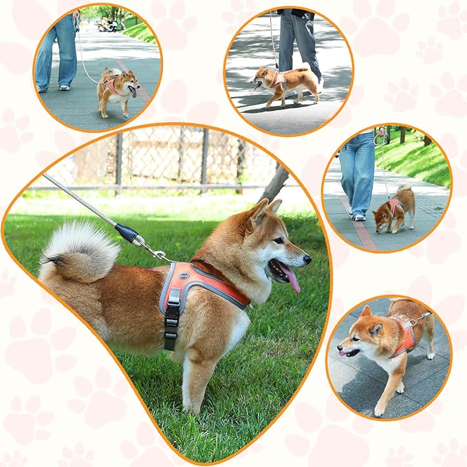 Dog Harness and Leash Set, No Pull Saddle Style Pet Harness, Breathable Mesh Adjustable Reflective Dog Vest for Dogs and Cat Medium Small Harness 2 D-Rings (Orange, S)