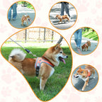 Dog Harness and Leash Set, No Pull Saddle Style Pet Harness, Breathable Mesh Adjustable Reflective Dog Vest for Dogs and Cat Medium Small Harness 2 D-Rings (Orange, XS)