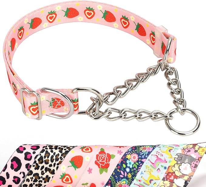 Pink Strawberry Martingale Dog Collar with Chain - No-Pull Training Collar Soft & Durable Design for Medium, Large & XL Dogs (L Strawberry)