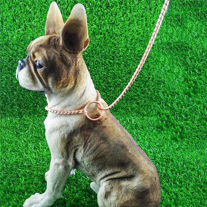 Dog P Snake Chain Chrome Plated Metal Dog Training Choke/Collar-Fully Guaranteed Against Rust Tarnish or Breakage-Recommended for Professional Training (Golden, 4mm * 22")