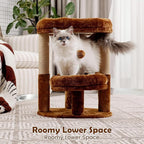 Cat Tree for Indoor Cats, 2-Tier Cat Tower with Padded Donut Beds, Stable Structure, Sisal Scratching Posts & Hanging Ball Toy, Modern Cat Furniture (Mocha Brown)