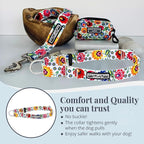 Lucky Love Dog Martingale Dog Collar - Adjustable, No-Slip, Durable, & Soft Webbing Collar for Male and Female Dogs Ideal for Training & Walking - Ladybird, Large