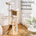 797Audio Wood Modern Cat Tree, 61.5" Tall Cat Tower with Sisal Scratching Posts, Cat Condo, Capsule and Ladder, Solid Wooden Aesthetic Multi-Level Cat Climbing Tree for Large Adult Indoor Cats