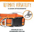 Mighty Paw Martingale Dog Collar 2.0 | Trainer Approved Limited Slip Collar with Stainless Steel Chain & Heavy Duty Buckle - Modified Cinch for Gentle & Effective Pet Training - Medium, Orange