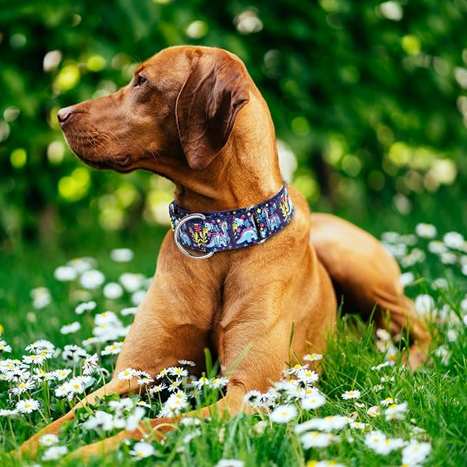 1.5 Inch Wide Martingale Dog Collar - Dinosaur Pattern No Pull Thick Collar for Large Dogs, Heavy Duty Adjustable Training Collar for Medium, Large & XL Dogs（Dinosaur XL）