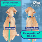 Jelly Waterproof Martingale Dog Collar, No Pull Nylon Collar with Alloy Metal Buckle & D-Ring for Outdoor Training and Walking, Anti Pull, Escape Free, One Time Adjustment - Turquoise & Blue, L