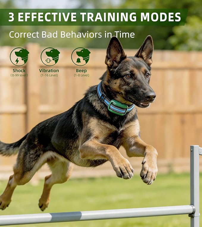 Shock Collar for Dogs, 4200FT Dog Training Collar with Remote for 15-120lbs Small Medium Large Dog, IP68 Waterproof Rechargeable E Collar with 3 Training Modes: Beep, Vibration, Safe Shock（Green）