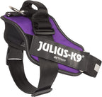 Julius-K9 IDC Powerharness, Size: L/1, Dark Purple