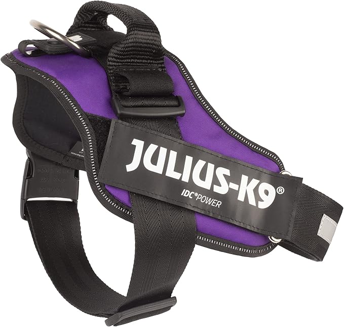 Julius-K9 IDC Powerharness, Size: L/1, Dark Purple