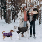 Kuoser Waterproof Dog Coat, Reversible Dog Jacket for Small Dogs, Adjustable Durable Doggie Winter Coat Warm Cozy Puppy Cold Weather Apparel from Small to Large Breed, Purple S