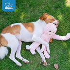Best Pet Supplies Interactive Squeaky Dog Chew Toy, Ideal Dog Toys for Chewers, Small, Medium & Large Dogs, and Fetch Lovers - Octomutant (Pink), Large