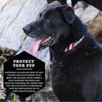 Wolfgang Heavy Duty Martingale Dog Collar with Quick Release Nylon Buckle for Walking & Training, DigitalDog Print, Large