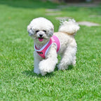 Puppia Soft Vest Harness B II - Pink - M
