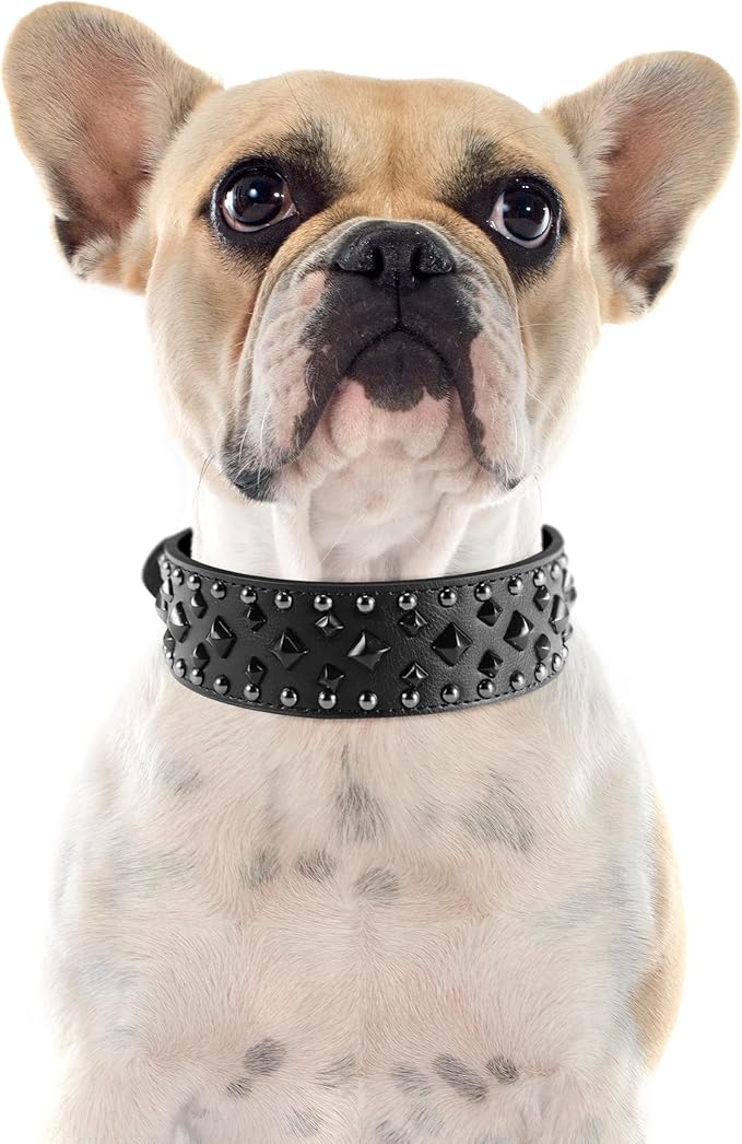 Premium Faux Leather Spiked Dog Collar with Square Studs: Stylish and Durable Design, Comfortable Fit for Small, Medium, & Large Dogs - Ideal for Everyday Walks, Training Black S