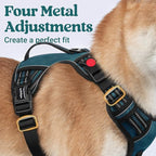 rabbitgoo Dog Harness Small Sized Dog, No Pull Pet Harness with Soft Padded Handle, Adjustable Reflective Vest with 3 Buckles, Easy Walking Harness with 2 Leash Clips, Green, S
