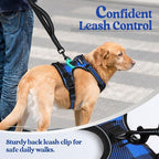 rabbitgoo Dog Harness No-Pull, Comfortable Padded Plaid Harness with Handle Easy Control, Adjustable Reflective Pet Vest with 2 Leash Clips for Small Dog, Blue Plaid, S