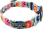 Lucky Love Dog - Adjustable Dog Collar with Easy Click Buckle for Medium, Durable, & Comfortable for Male & Female Dogs, Pet Collar for Puppies & Adult Dogs - Ladybird, Medium
