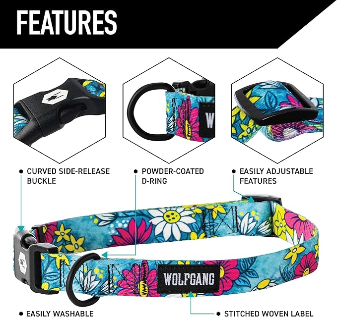 Wolfgang Heavy Duty, Adjustable Dog Collar with Quick Release Nylon Buckle for Walking & Training, LazyDaisy Print, Medium