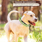Martingale Collar for Dogs -Reflective Nylon No Slip Choke with Padded Comfort Heavy Duty Dog Collar with Quick Release Buckle for Training, Walking & Overexcited Pulling Green L