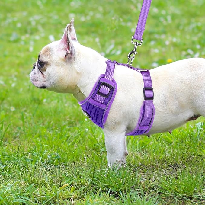PUPTECK Small Dog Harness and Leash Set, No Pull Adjustable Puppy Cat Harness, Reflective Soft Mesh Pet Vest Small Sized, Purple, M