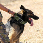 Tactical Military Collar - Adjustable Nylon, Heavy Duty Metal Buckle with Handle for Dog Training, with Patches (Green, M)