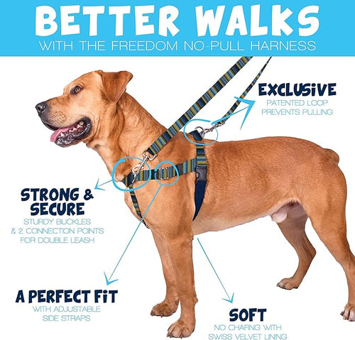 2 Hounds Design - Freedom No-Pull Harness & Training Leash in Blue and Green | Dual Leash Loops, No Pulling on Walks | Lined to Prevent Chaffing | for Small Sized Dogs (Size S, Chest 20”- 24”)