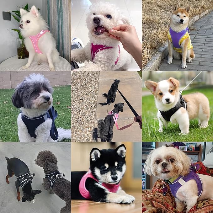 Dog Harness with Leash Set, No-Pull Step-in Reflective Pet Harness with 1 Leash Clips, Adjustable Soft Padded Easy Walk Dog Vest for Small Medium Large Dogs, Cats(Rose Red, XXSmall)
