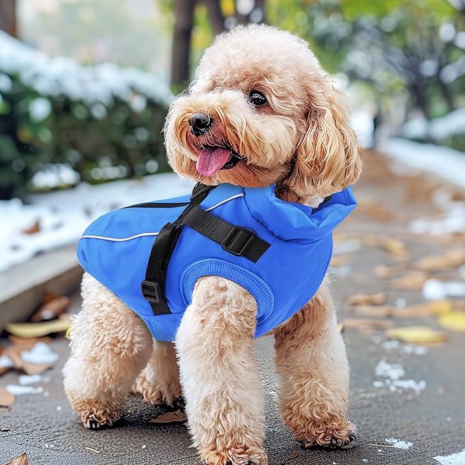 Dog Winter Coat Reflective Water-Resistant Jacket, Fleece Lined Windproof Puppy Coat with Back Zipper & D-Ring, Cold Weather Dog Coats for Small Medium Dogs (S, Blue)
