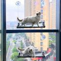 2 Pack Cat Hammock for Window Wall with 8 Suction Cups 2 Cushion Cover,Cat Window Perch, Space Saving and Easy Mounted Large Cats Bed,Pet Resting Safety Holds (Black, Medium)