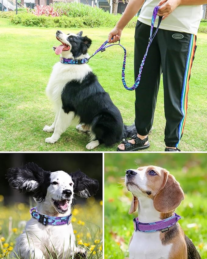 Hotsky Tactical Dog Collar, Adjustable Military Training Nylon Airtag Collar with Handle and Heavy Duty Metal Buckle for Medium Large Dogs, with Airtag Holder and Two Patches（Purple Camo,L）