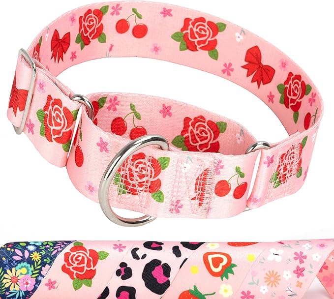 Rose Martingale Collar for Dogs, Heavy Duty Adjustable Soft Nylon Dog Collars with for Medium & Large XL Dogs (Rose,M)