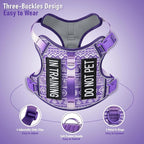 Dog Harness for X-Small Dog Breed, Light Pet Vest Harness with 2 Leash Clips and 3 Buckles, Easy to Wear, Adjustable Reflective Soft Padded, Boston Terrier, Beagle, Poodles, XS