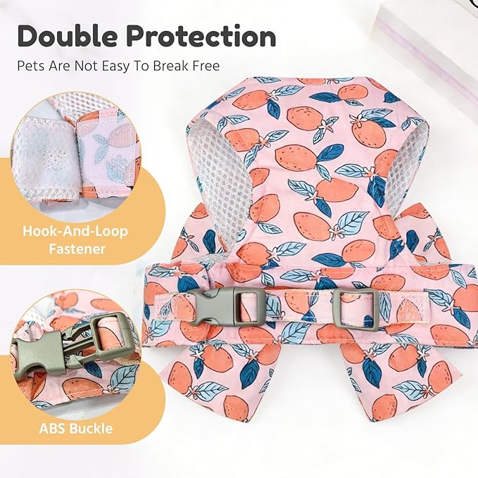 BAEJMJK Dog Harness and Leash Set with Bow Knot No Pull Pet Floral Harness with D-Ring Soft Mesh Dog Harness Vest Set Escape Proof Princess Puppy Harness for Small Girl Dogs Cats（Orange L）